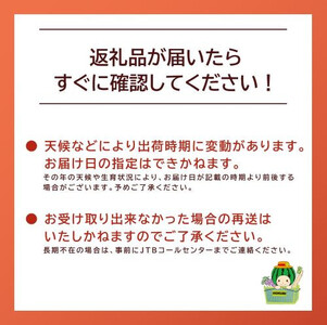 タカミメロン　2玉（2.5kg前後）　1箱　【※2026年7月上旬～中旬配送】　