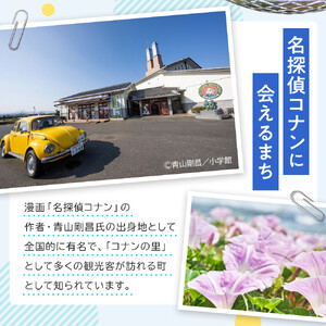 タカミメロン　2玉（2.5kg前後）　1箱　【※2026年7月上旬～中旬配送】　