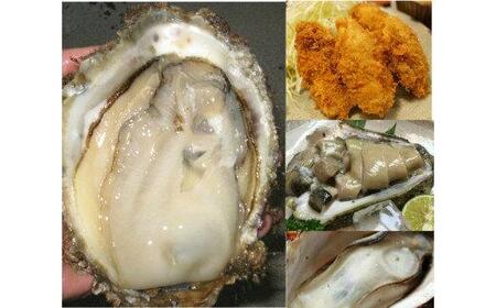 624.【2026年6月上旬以降発送 先行予約】鳥取県産　天然岩ガキ『夏輝』ブランドタグ付き　3個（400g以上×3個） 牡蠣 カキ※着日指定不可※2026年6月上旬～8月下旬頃に順次発送予定