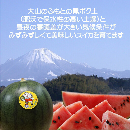 【先行予約】黒皮小玉スイカ 鳥取県北栄町産 農家指定（こちらの返礼品は、大栄西瓜ではありません）