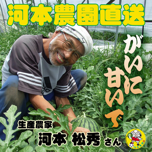 【先行予約】黒皮小玉スイカ 鳥取県北栄町産 農家指定（こちらの返礼品は、大栄西瓜ではありません）