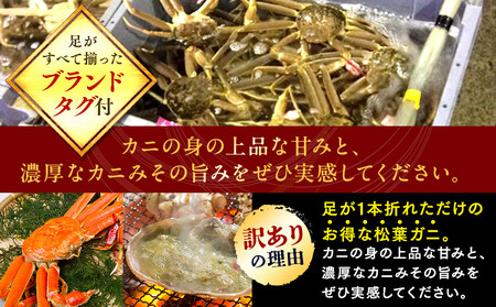 【ボイル】足1本なし 訳あり 松葉ガニ 大1枚（800g前後）| カニ 松葉ガニ タグ付き【着日指定不可】※2025年11月上旬～2026年3月下旬頃に順次発送予定