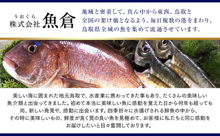 【ボイル】足1本なし 訳あり 松葉ガニ 大1枚（800g前後）| カニ 松葉ガニ タグ付き【着日指定不可】※2025年11月上旬～2026年3月下旬頃に順次発送予定