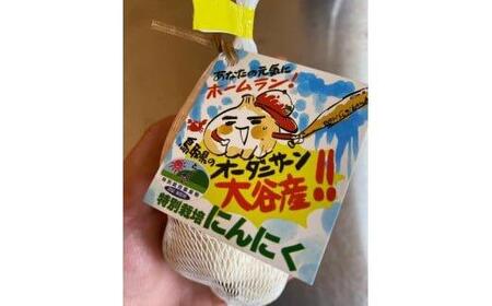 586.スイカ農家のフル～ティ黒にんにく 元気のたねこミックス◇｜自然食品 無添加 健康 疲労回復　鳥取県産 免疫力「鳥取県特別栽培農産物」認証の自社生産ホワイト六片とジャンボにんにくを使用※着日指定不可 ※2025年7月中旬～2026年2月下旬頃に順次発送予定