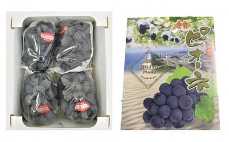 【先行予約】【ＪＡ】 ピオーネ （種なし） 赤秀2kg箱（3～5房入） ※着日指定不可　※離島への配送不可　※2026年8月初旬頃～8月下旬頃に順次発送予定   | ぶどう ピオーネ