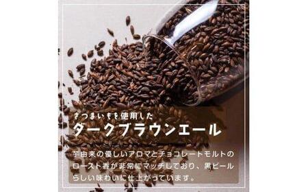 619.Patata　Dolce　Beer ６本セット ※離島への配送不可