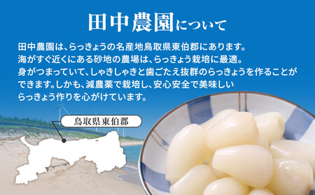 326.生ラッキョウ　計4kg（ラクダラッキョウ×2kg　玉ラッキョウ×2kg）　※2026年5月下旬～7月上旬頃に順次発送予定
