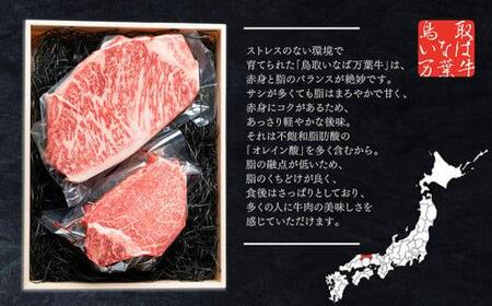 628.鳥取 いなば万葉牛 シャトーブリアン ・サーロインステーキ　セット 各150g | サーロインステーキ