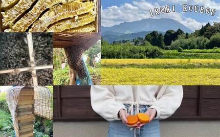 みつろう肉球クリーム(30g×2個)