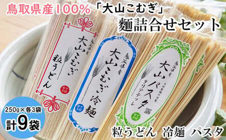 IW03：鳥取県産大山こむぎ麺セット（パスタ・粒うどん・冷麺）9袋