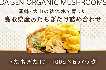 オーガニック菌床たもぎたけ6パック【タモギ茸 きのこ たもぎ茸 キノコ セット 茸 詰め合わせ たもぎたけ タモギタケ エルゴチオネイン だし 出汁】
