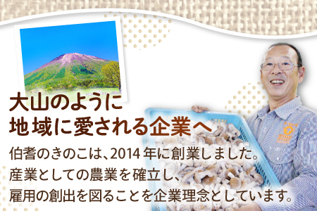 オーガニック菌床たもぎたけ6パック【タモギ茸 きのこ たもぎ茸 キノコ セット 茸 詰め合わせ たもぎたけ タモギタケ エルゴチオネイン だし 出汁】