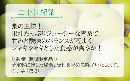 二十世紀梨　秀5kg前後