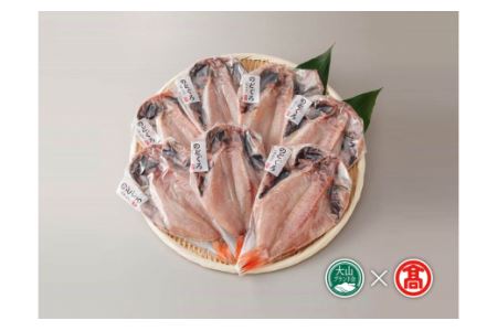 Db58 日本海西部産 開きのどぐろ干物７枚 大山ブランド会 鳥取県日吉津村 ふるさと納税サイト ふるなび