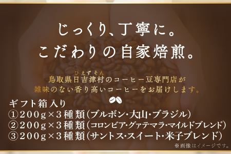 【3回定期便】【コーヒー粉】自家焙煎コーヒー ギフト箱入り 600g×3回