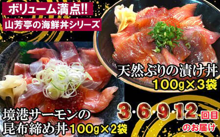 【12回定期便】海鮮漬け丼・昆布締め丼の素【真鯛 サーモンまぐろ 白いか 甘エビ ブリ 丼 素 海鮮丼 12回 1年 コース 定期便 頒布会 ごはんのお供 簡単 時短 ご自宅用 お土産】