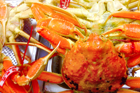 【蒸し】タグ付き松葉ガニ 大 2枚 【松葉ガニ 松葉がに 松葉蟹 まつばがに かに カニ 冷蔵 チルド ブランド ズワイガニ 蒸し ボイル タグ付き 国産 季節限定 お取り寄せ お祝い 鳥取県 日吉津村 日本海】