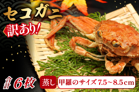 【蒸し】訳あり足折れご自宅用 日本海産親ガニ（セコガ二） 6枚【訳あり かに カニ 親ガニ セコガニ ずわいがに ズワイガニ 冷蔵 チルド ブランド 蒸し ボイル 足折れ 自宅用 国産 季節限定 お取り寄せ 鳥取県 日吉津村 日本海】