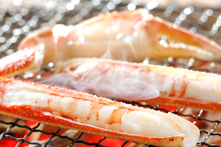 【活き】ご自宅用松葉ガニ　大　２枚【松葉ガニ 松葉がに 松葉蟹 まつばがに かに カニ 冷蔵 チルド ブランド ズワイガニ 活き 自宅用 冬 国産 季節限定 お取り寄せ 鳥取県 日吉津村 日本海】