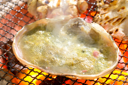 【活き】ご自宅用松葉ガニ　大　２枚【松葉ガニ 松葉がに 松葉蟹 まつばがに かに カニ 冷蔵 チルド ブランド ズワイガニ 活き 自宅用 冬 国産 季節限定 お取り寄せ 鳥取県 日吉津村 日本海】