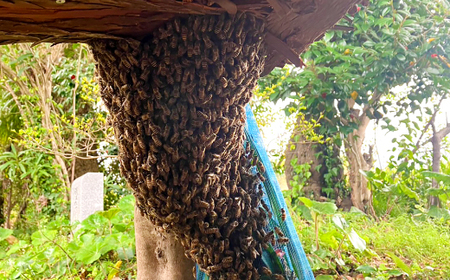 みつろうハンドクリーム5種セット（10g×5個）