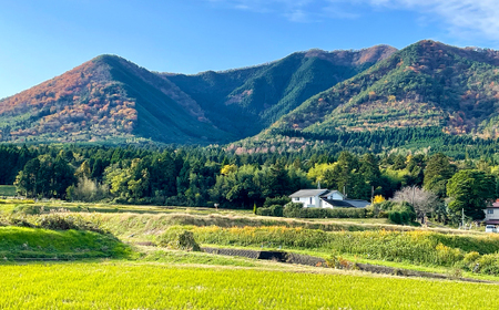 みつろうハンドクリーム5種セット（10g×5個）