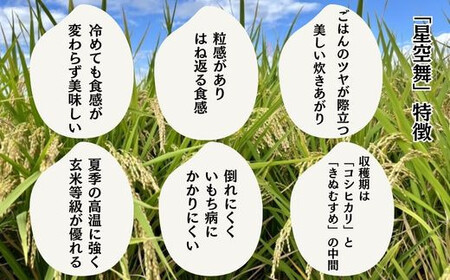 TA11：【3回定期便】鳥取県産米食べ比べセット5kg