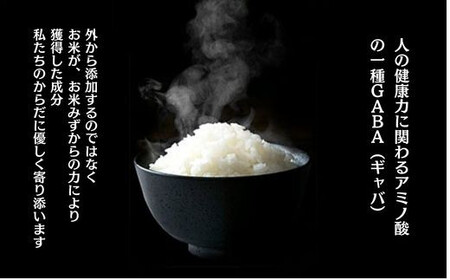 TA11：【3回定期便】鳥取県産米食べ比べセット5kg