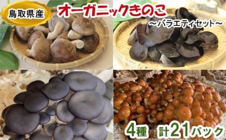 HO03：鳥取県産オーガニックきのこバラエティセット