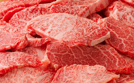 【A5】鳥取和牛ふぞろい焼肉切り落とし 500g【肩ロース サーロイン 三角バラ ランプ ヒレ ランダム 焼き肉 やきにく 切落し 切り落し 和牛 不揃い ご自宅用 ギフト 熨斗 プレゼント お取り寄せ グルメ 冷凍】