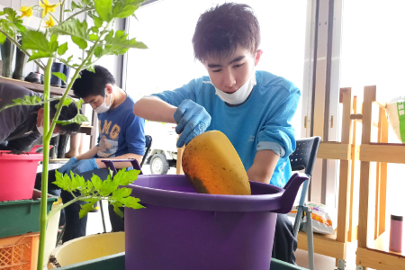 くつろぎcafeいちご　焼菓子詰め合わせセット