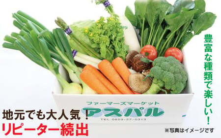 AS01：ふるさと野菜の詰め合わせ