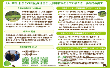 田中ビーフセット（グラスフェッド） 【 ふるさと納税 人気 おすすめ ランキング 牛肉 牛 ステーキ シャトーブリアン サーロイン リブロース スライス スジ ひき肉 北海道 置戸町 送料無料 】 OTH001