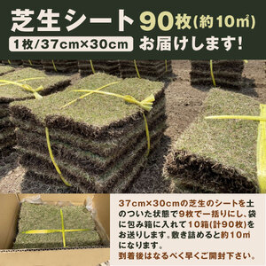 YG-04 天然の日本芝「姫高麗芝」１０平方メートル分BOX