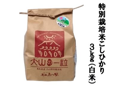 MS-11　特別栽培米こしひかり3kg（白米）令和5年産新米