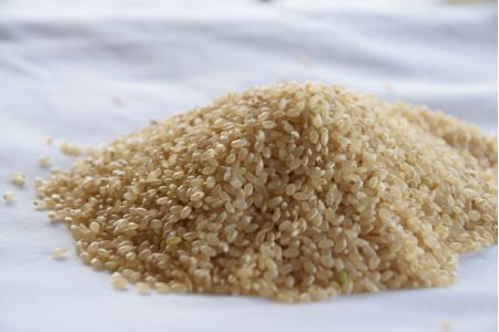 MS-14　特別栽培米こしひかり3kg（玄米）令和5年産新米