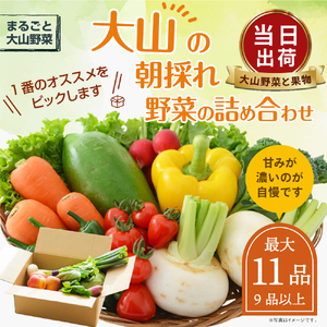 MS-01　新鮮朝採れ野菜セット