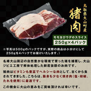 GB-02　猪肉　1kg（250g×4パック）