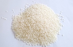 MS-13　特別栽培米こしひかり10kg（白米）令和5年産新米