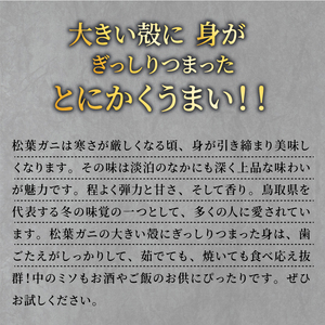 OM-26 ブランドタグ付生松葉ガニ(特大約1kg)