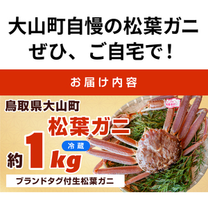 OM-26 ブランドタグ付生松葉ガニ(特大約1kg)