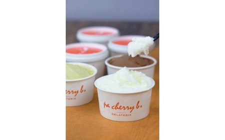 PC-03　pa cherry b.ジェラート4種12個セット