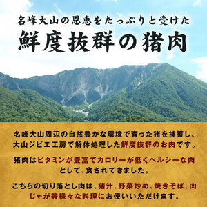 GB-27 大山ジビエイノシシ肉切り落とし1kg