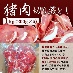 GB-27 大山ジビエイノシシ肉切り落とし1kg