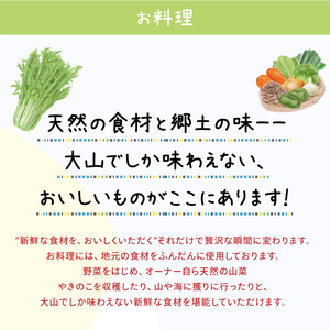 UT-02　大山ユートピア　10,000円宿泊割引券