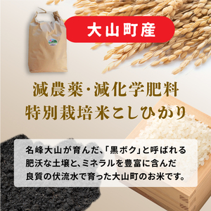 MR-18 減農薬・減化学肥料 特別栽培米こしひかり(白米)新米10kg