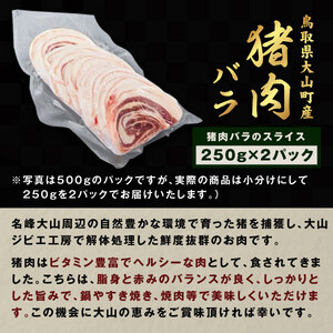 GB-05　猪肉　バラ　500g（250g×2パック）
