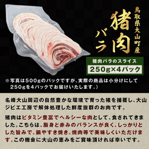 GB-06　猪肉　バラ　1kg（250g×4パック）