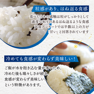 MR-08 大山諸遊農場の星のように輝くお米「星空舞」 10kg