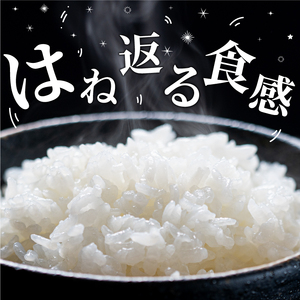 AS-09 星が綺麗な鳥取のお米「星空舞」 5kg